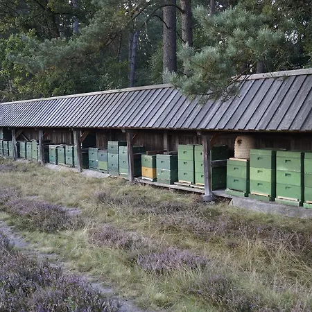 Ferienwohnungen / Ferienhaus Wahlers Bispingen Esterno foto