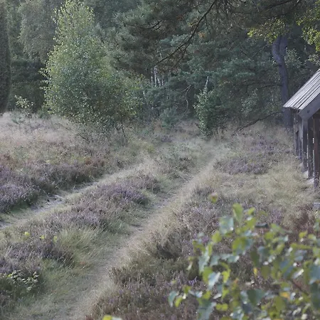 Ferienwohnungen / Ferienhaus Wahlers Bispingen Esterno foto