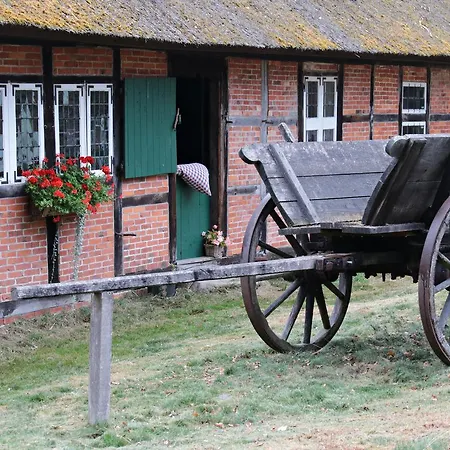 Ferienwohnungen / Ferienhaus Wahlers Bispingen Esterno foto